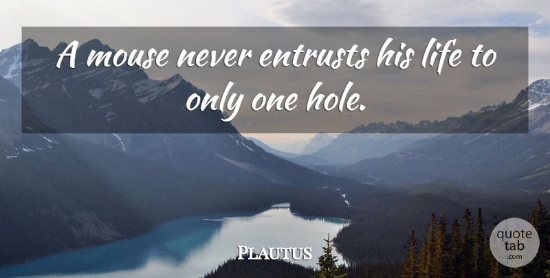 Plautus Quote About Holes, Mice: A Mouse Never Entrusts His...