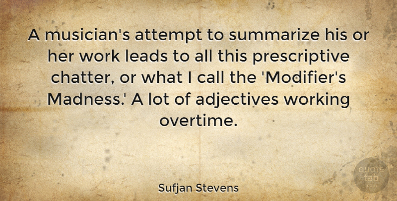 Sufjan Stevens Quote About Musician, Adjectives, Madness: A Musicians Attempt To Summarize...