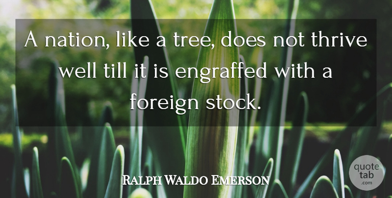 Ralph Waldo Emerson Quote About Tree, Doe, Immigration: A Nation Like A Tree...