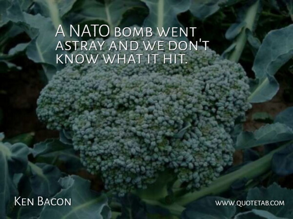 Ken Bacon Quote About Astray, Bomb, Nato: A Nato Bomb Went Astray...