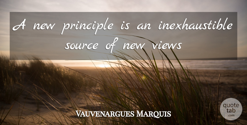 Luc de Clapiers Quote About Discovery, Views, Principles: A New Principle Is An...