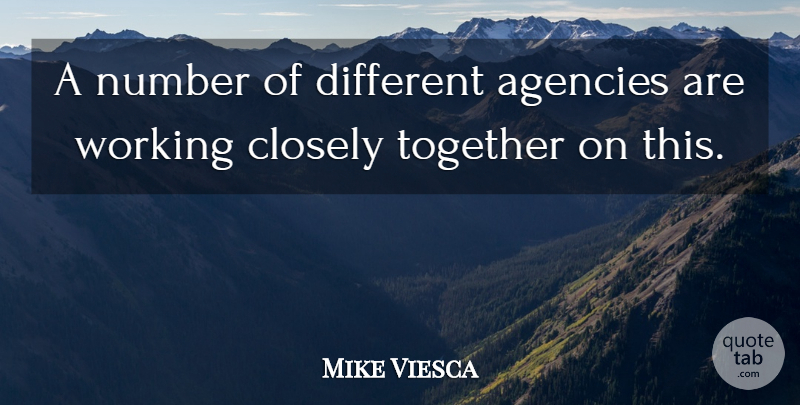 Mike Viesca Quote About Agencies, Closely, Number, Together: A Number Of Different Agencies...