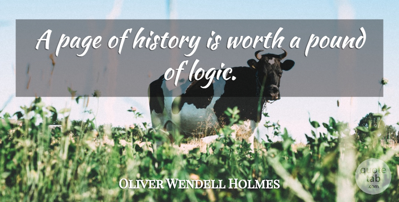 Oliver Wendell Holmes Quote About History, History And Historians, Page, Pound, Worth: A Page Of History Is...