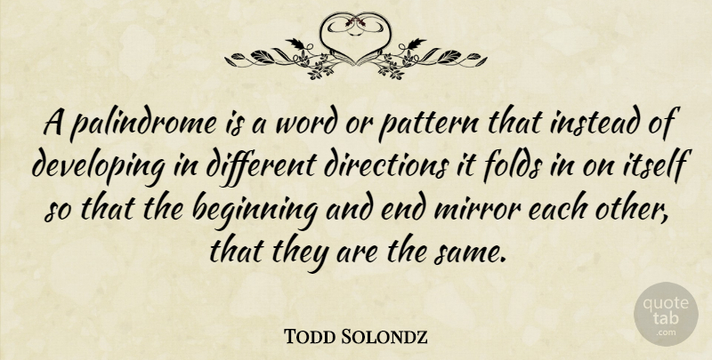 Todd Solondz Quote About Mirrors, Different, Patterns: A Palindrome Is A Word...