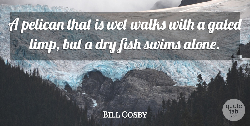 Bill Cosby Quote About Swim, Dry, Pelicans: A Pelican That Is Wet...