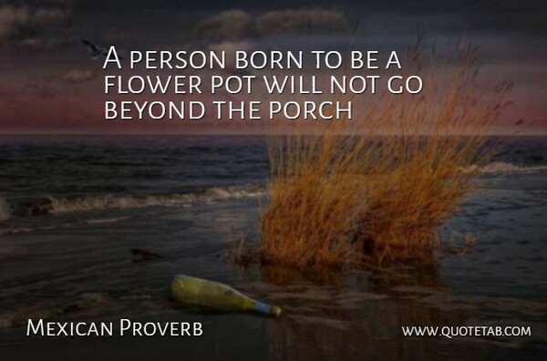 Mexican Proverb Quote About Beyond, Born, Flower, Porch, Pot: A Person Born To Be...