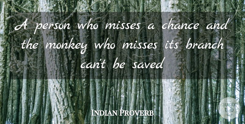 Indian Proverb Quote About Branch, Chance, Misses, Monkey, Saved: A Person Who Misses A...