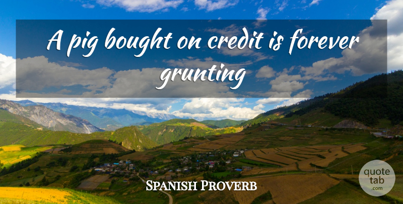 Spanish Proverb Quote About Bought, Credit, Forever, Pig: A Pig Bought On Credit...