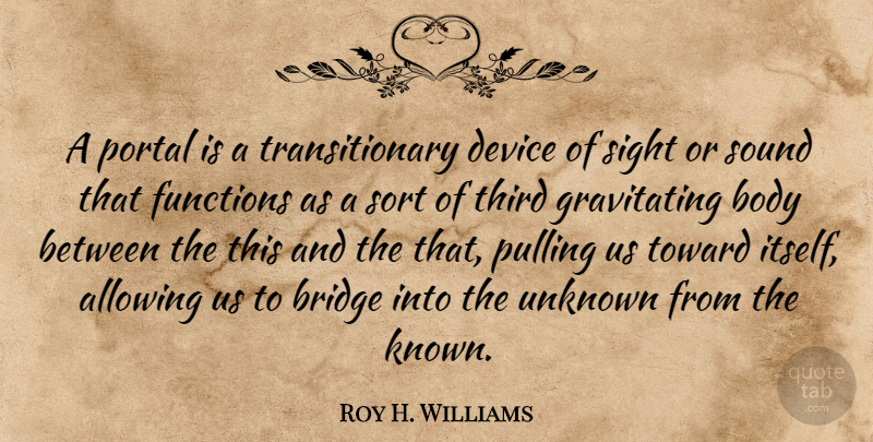 Roy H. Williams Quote About Bridges, Sight, Body: A Portal Is A Transitionary...