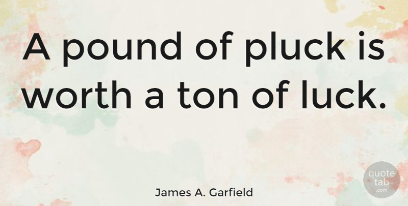 James A. Garfield Quote About Courage, Luck, Pound, Ton, Worth: A Pound Of Pluck Is...