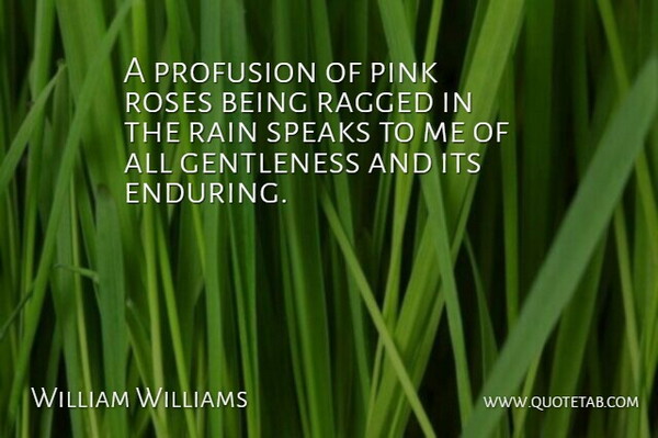 William Williams Quote About Gentleness, Pink, Ragged, Rain, Roses: A Profusion Of Pink Roses...