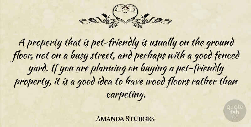 Amanda Sturges Quote About Busy, Buying, Floors, Good, Ground: A Property That Is Pet...