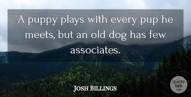 Josh Billings Quote About Dog, Play, Pups: A Puppy Plays With Every...