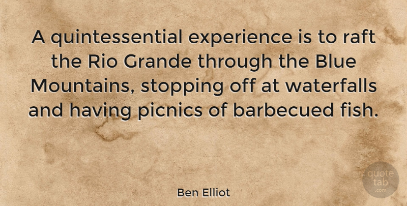 Ben Elliot Quote About Experience, Raft, Rio, Stopping: A Quintessential Experience Is To...