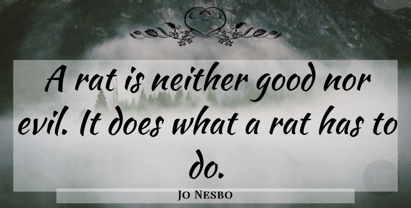 Jo Nesbo Quote About Evil, Rats, Doe: A Rat Is Neither Good...