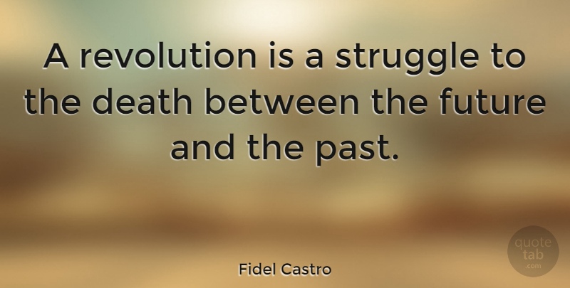 Fidel Castro Quote About Struggle, Past, Revolution: A Revolution Is A Struggle...