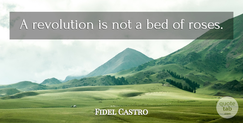 Fidel Castro Quote About Bed Of Roses, Rose, Revolution: A Revolution Is Not A...