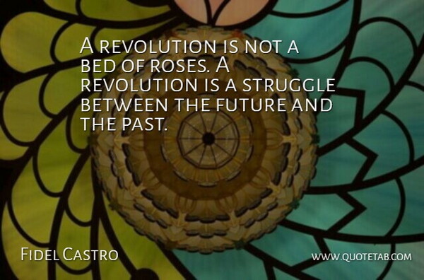 Fidel Castro Quote About Bed, Future, Revolution, Revolutions And Revolutionaries, Struggle: A Revolution Is Not A...