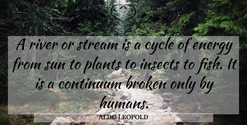 Aldo Leopold Quote About Rivers, Broken, Sun: A River Or Stream Is...