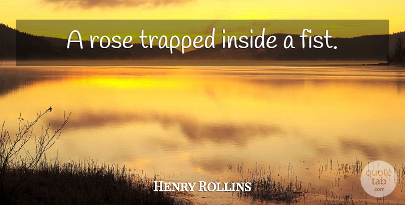 Henry Rollins Quote About Rose, Fists, Trapped: A Rose Trapped Inside A...