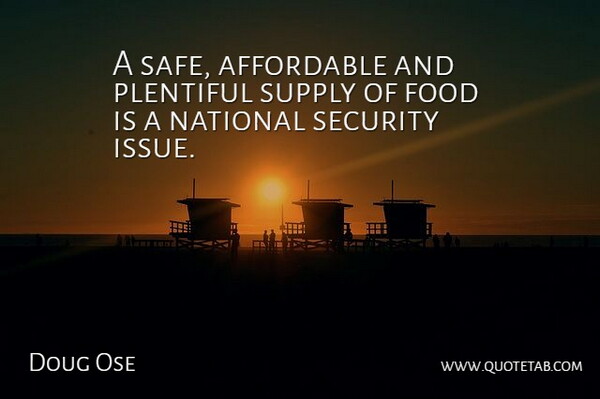 Doug Ose Quote About Issues, Safe, National Security: A Safe Affordable And Plentiful...