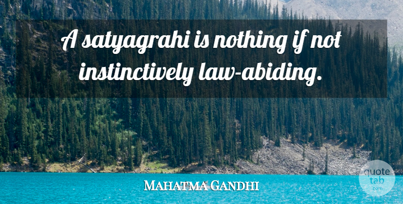 Mahatma Gandhi Quote About Law, Abiding, Satyagraha: A Satyagrahi Is Nothing If...