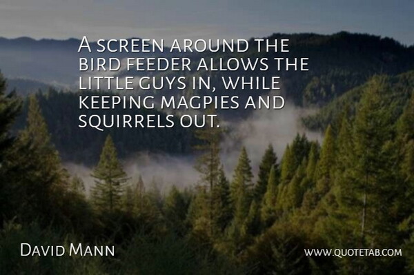 David Mann Quote About Bird, Guys, Keeping, Screen, Squirrels: A Screen Around The Bird...