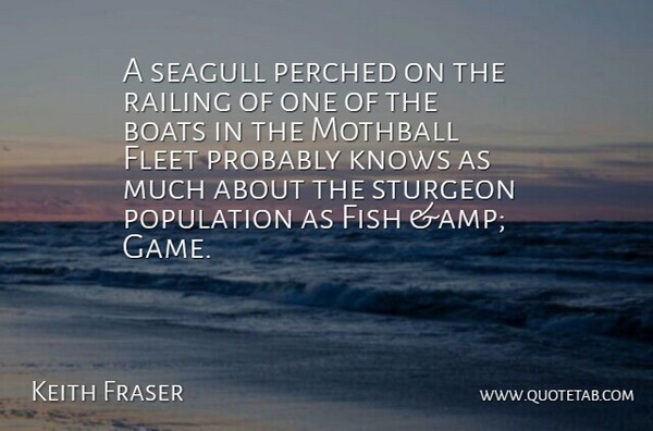 Keith Fraser Quote About Boats, Fish, Fleet, Knows, Population: A Seagull Perched On The...