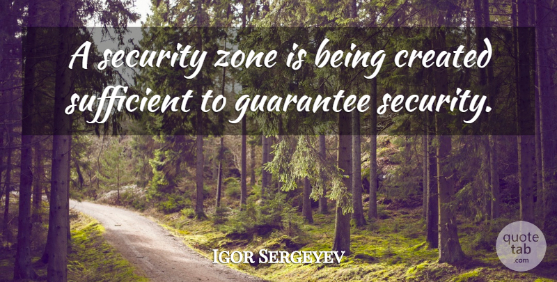 Igor Sergeyev Quote About Created, Guarantee, Security, Sufficient, Zone: A Security Zone Is Being...