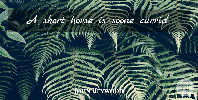 John Heywood Quote About Horse: A Short Horse Is Soone...