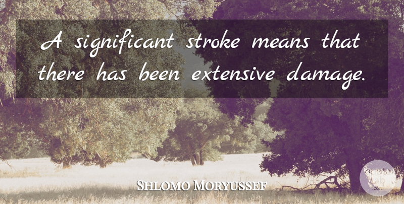 Shlomo Moryussef Quote About Extensive, Means, Stroke: A Significant Stroke Means That...