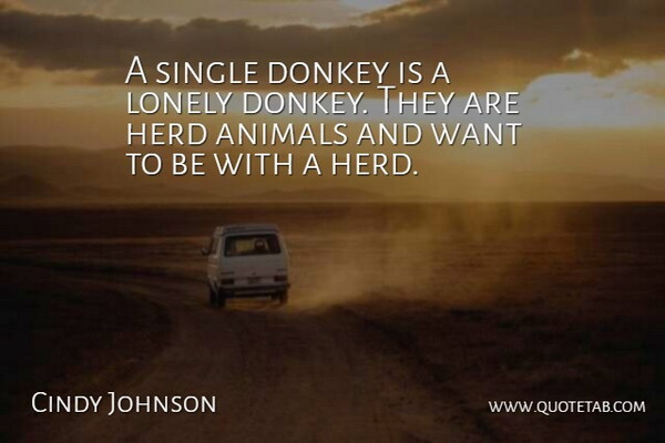 Cindy Johnson Quote About Animals, Donkey, Herd, Lonely, Single: A Single Donkey Is A...