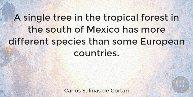 Carlos Salinas de Gortari Quote About Country, Tree, Forests: A Single Tree In The...