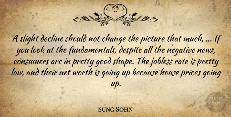 Sung Sohn Quote About Change, Consumers, Decline, Despite, Good: A Slight Decline Should Not...