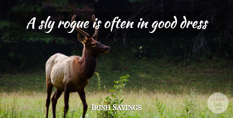 Irish Sayings Quote About Dress, Good, Rogue, Sly: A Sly Rogue Is Often...