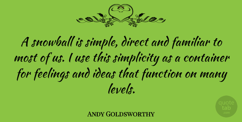 Andy Goldsworthy Quote About Simple, Artist, Ideas: A Snowball Is Simple Direct...