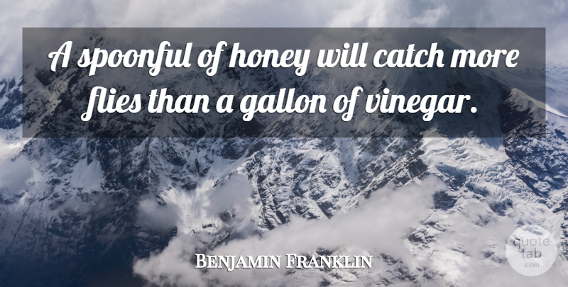 Benjamin Franklin Quote About Food, Bees And Honey, Vinegar: A Spoonful Of Honey Will...