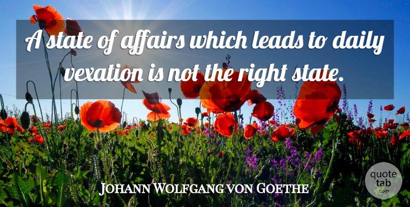 Johann Wolfgang von Goethe Quote About Happiness, Vexation, Affair: A State Of Affairs Which...