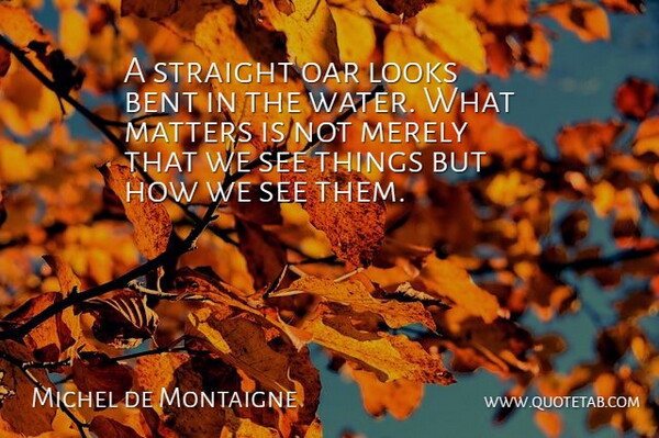 Michel de Montaigne Quote About What Matters, Water, Looks: A Straight Oar Looks Bent...