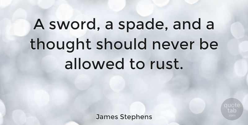 James Stephens Quote About Irish Poet: A Sword A Spade And...