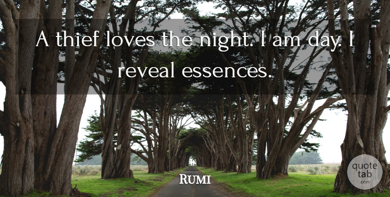 Rumi Quote About Night, Essence, Thieves: A Thief Loves The Night...