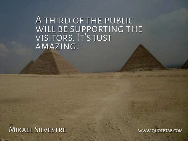 Mikael Silvestre Quote About Public, Supporting, Third: A Third Of The Public...