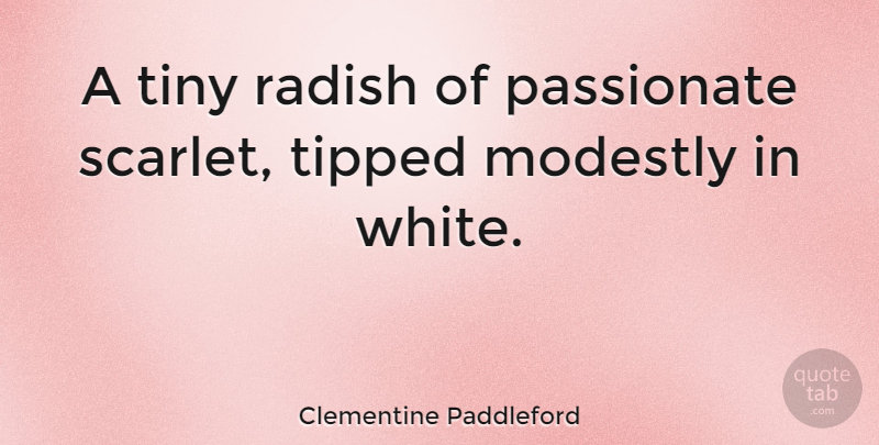 Clementine Paddleford Quote About White, Passionate, Tiny: A Tiny Radish Of Passionate...