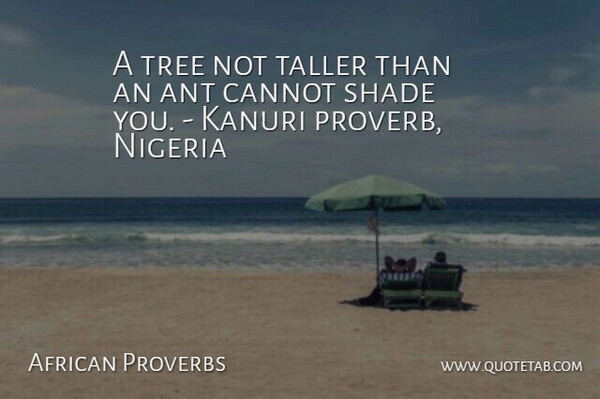 African Proverbs Quote About Ant, Cannot, Nigeria, Proverbs, Shade: A Tree Not Taller Than...