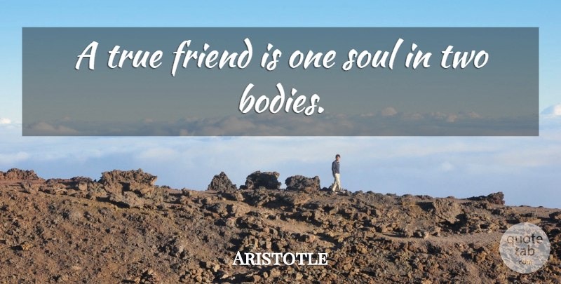 Aristotle Quote About Friend, Greek Philosopher, Soul, True: A True Friend Is One...