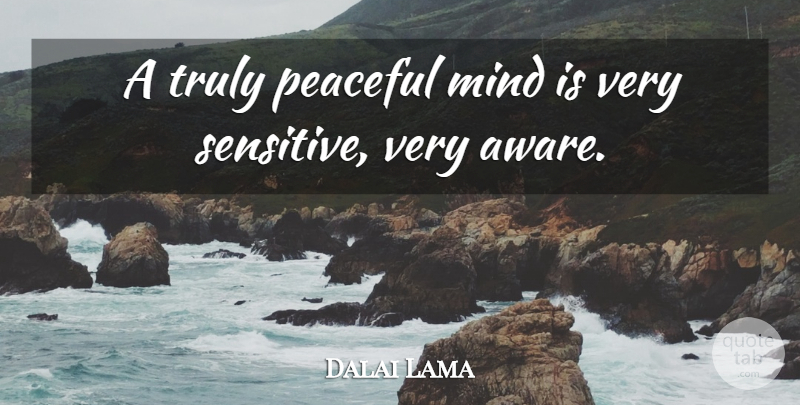 Dalai Lama Quote About Peaceful, Mind, Awareness: A Truly Peaceful Mind Is...