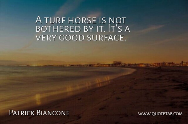 Patrick Biancone Quote About Bothered, Good, Horse: A Turf Horse Is Not...