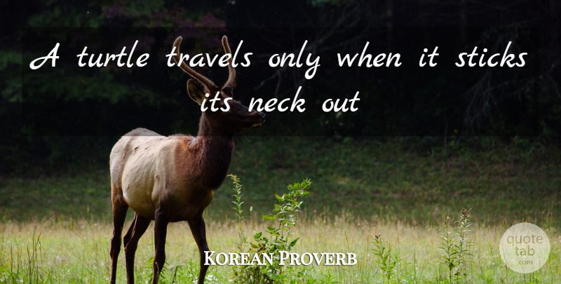 Korean Proverb Quote About Neck, Sticks, Travel, Travels, Turtle: A Turtle Travels Only When...