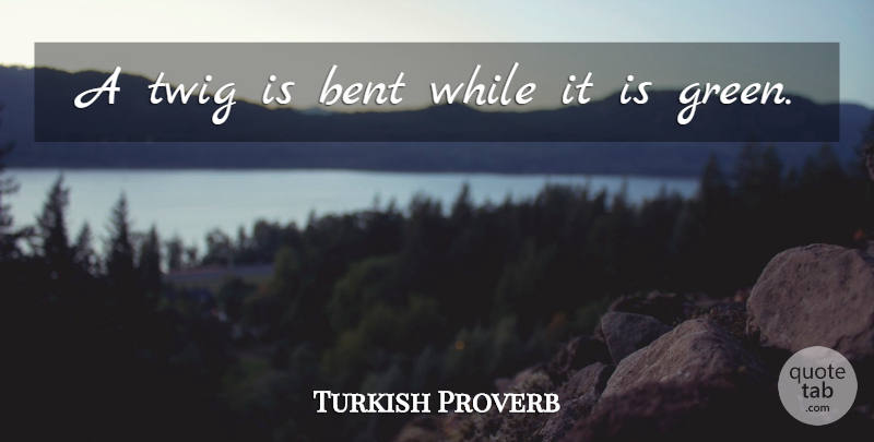 Turkish Proverb Quote About Bent, Proverbs, Twig: A Twig Is Bent While...