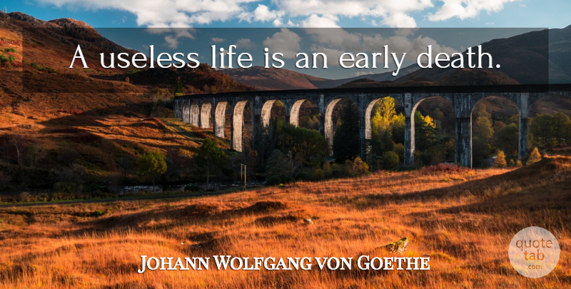 Johann Wolfgang von Goethe Quote About Love, Inspirational, Life: A Useless Life Is An...